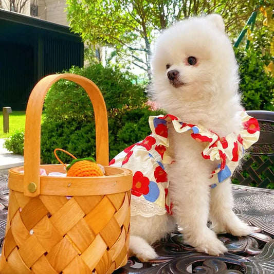 Pet Dress Floral Printing Flying Sleeve Ruffle Edge Summer Small Dog Princess Cosplay Costume Fancy Lace Christmas For Spring