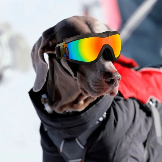 Safety glasses with adjustable strap UV resistant