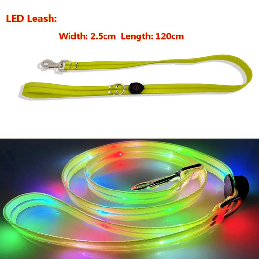 LED collar