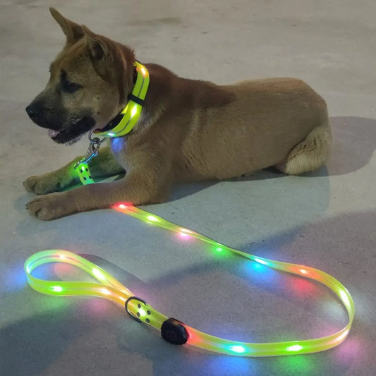LED collar