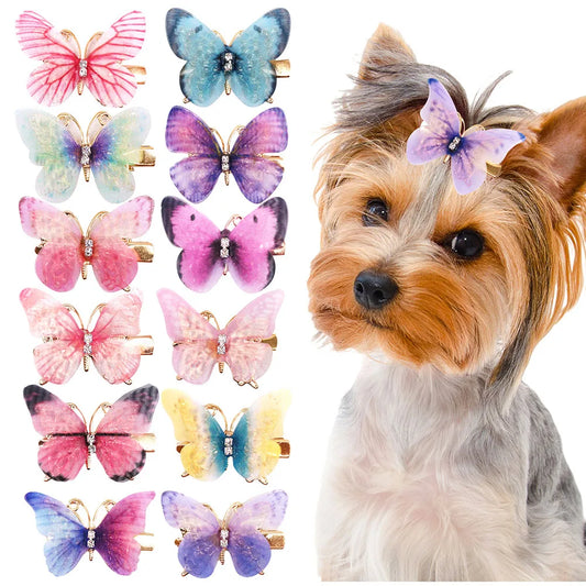 Multicolored butterfly hair clips