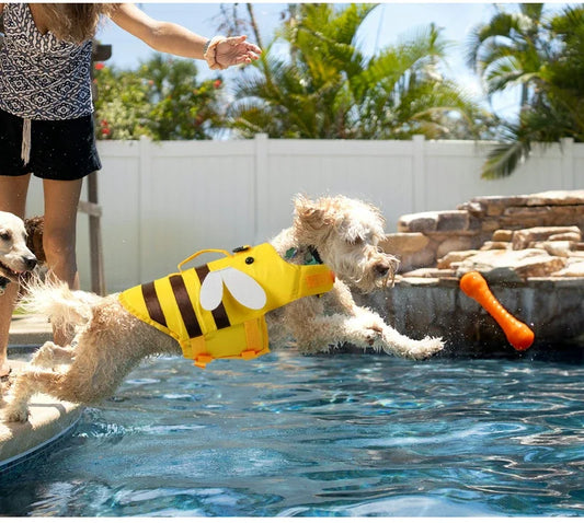 Bee/Dragon Life jacket