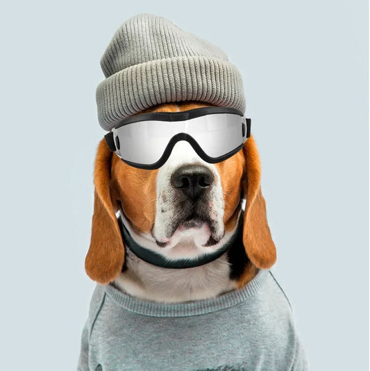 New Pet Dog Decoration Sunglasses Teddy Pet Goggles Y2K Schnauzer Dog UV Protection Goggles UV400