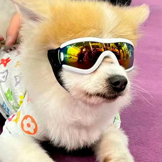 New Pet Dog Decoration Sunglasses Teddy Pet Goggles Y2K Schnauzer Dog UV Protection Goggles UV400