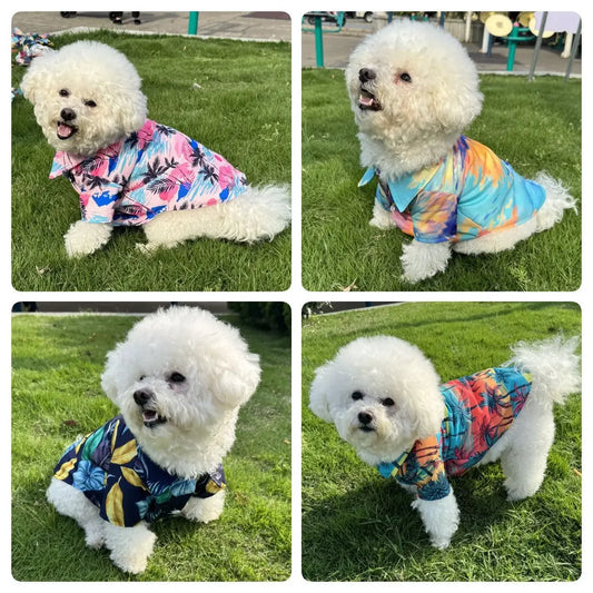 Hawaiian shirt
