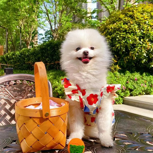 Pet Dress Floral Printing Flying Sleeve Ruffle Edge Summer Small Dog Princess Cosplay Costume Fancy Lace Christmas For Spring