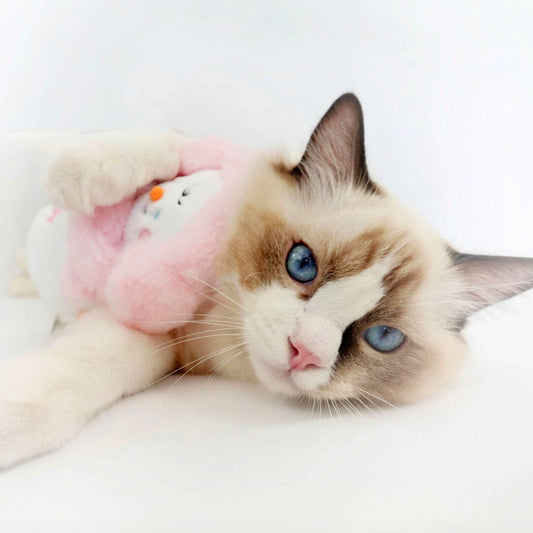 Snowman Catnip Toy