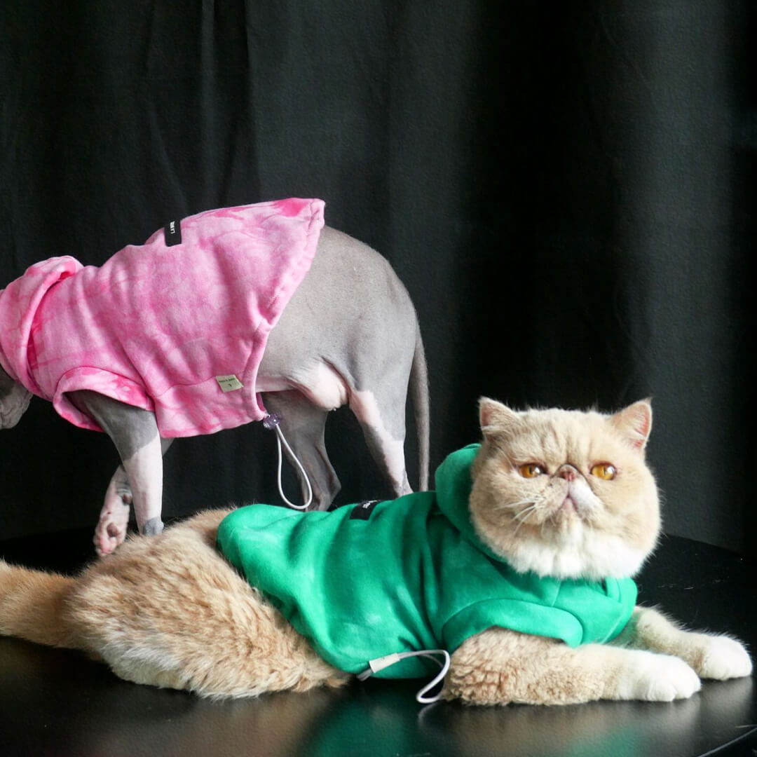 [Special Edition] Cherie Tie Dye Cat Hoodie