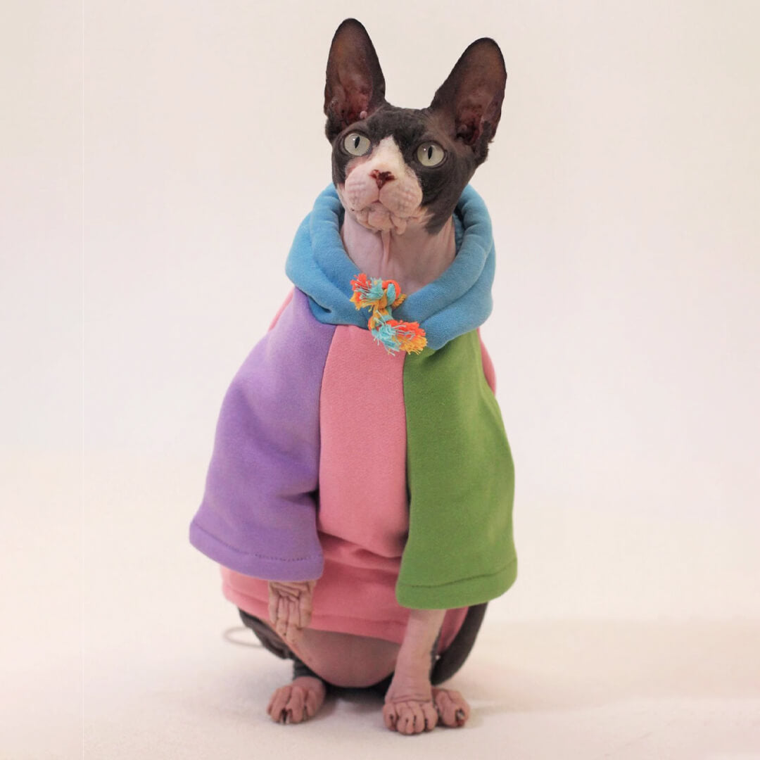 [Special Edition] Missy Cat Hoodie