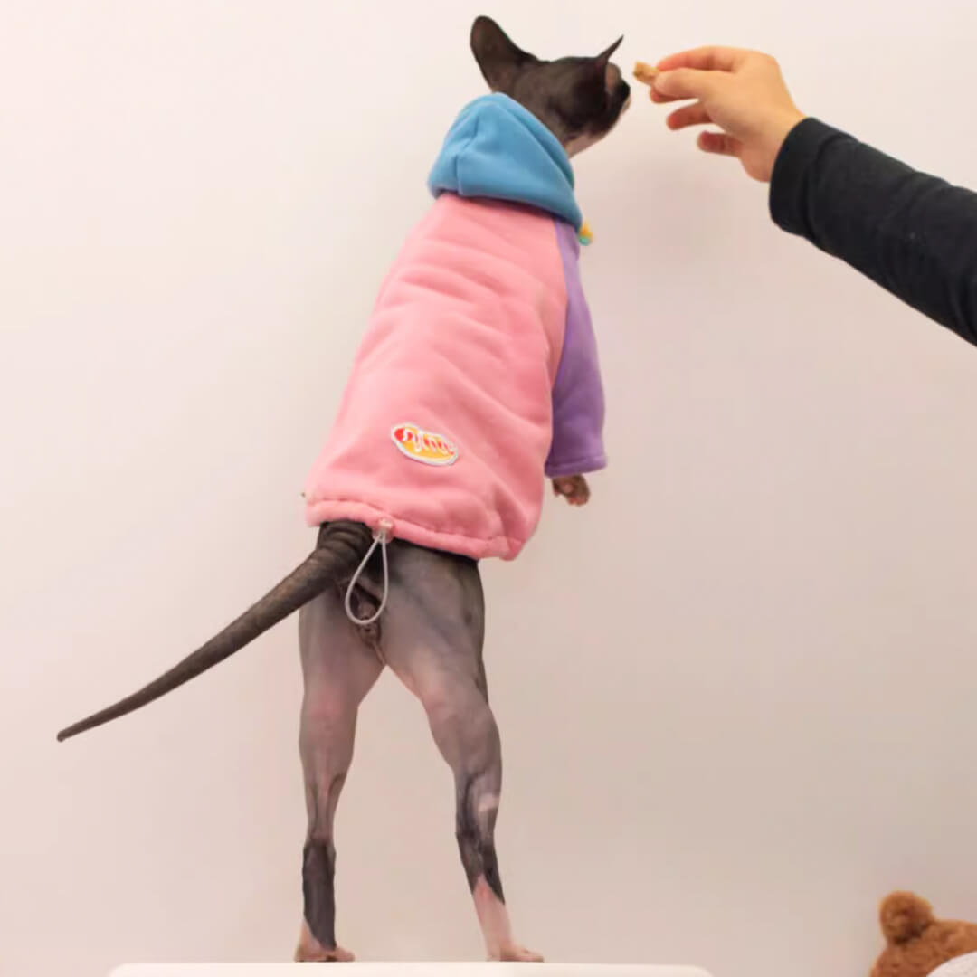 [Special Edition] Missy Cat Hoodie