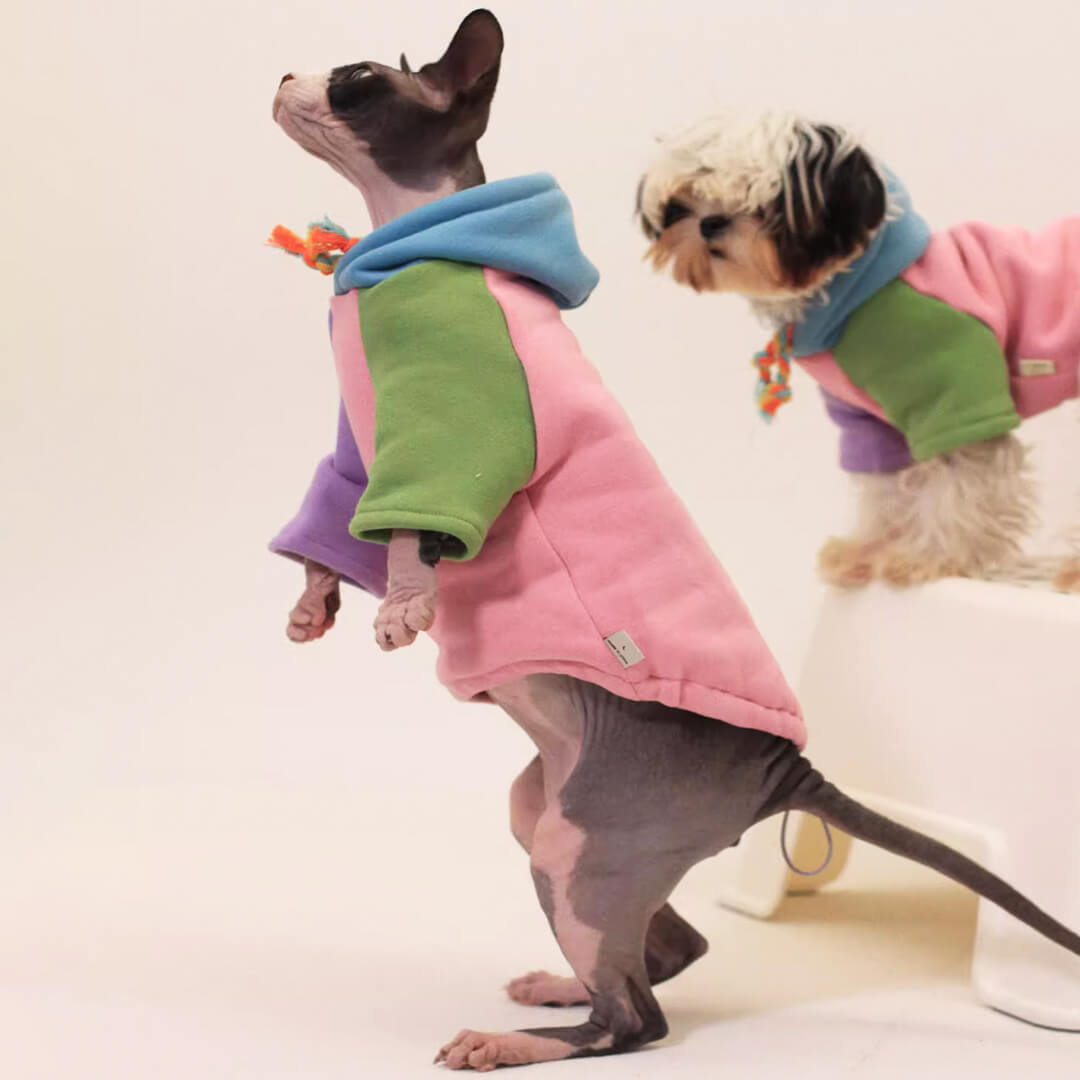 [Special Edition] Missy Cat Hoodie