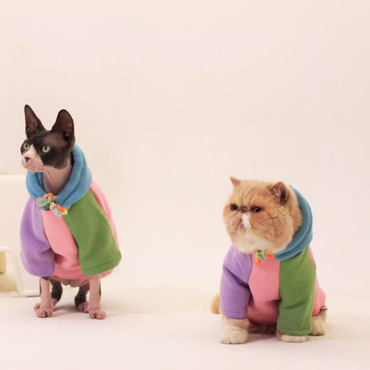 [Special Edition] Missy Cat Hoodie