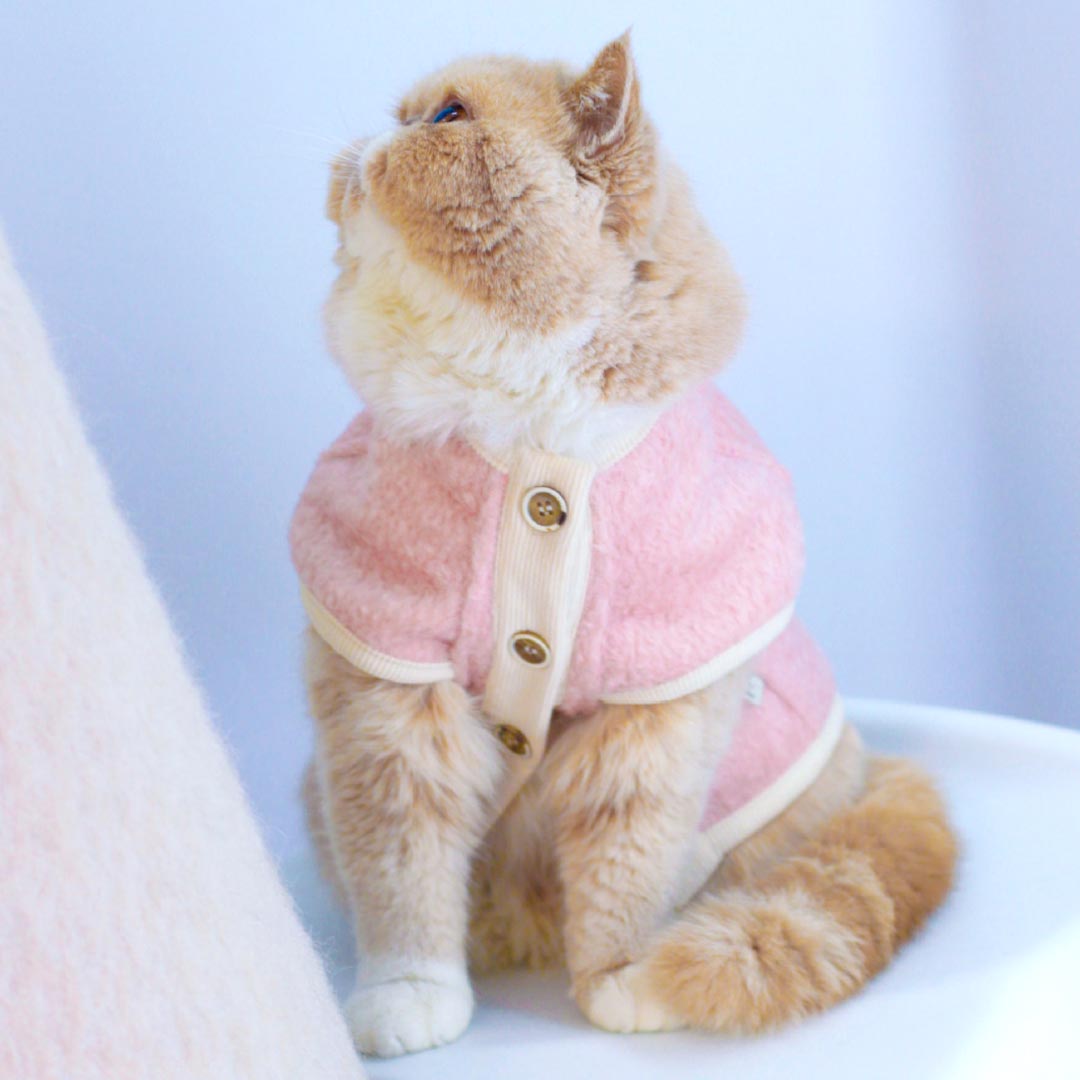 [Special Edition] MoMo Cat Vest
