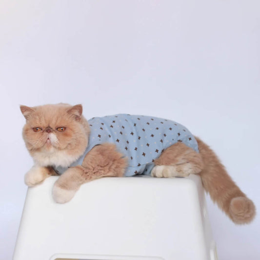 [Special Edition] Nova Cat Dungarees