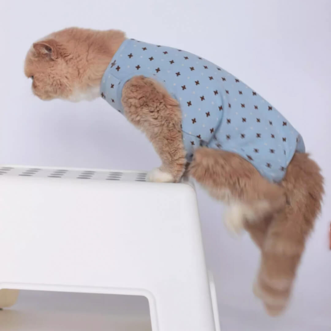 [Special Edition] Nova Cat Dungarees