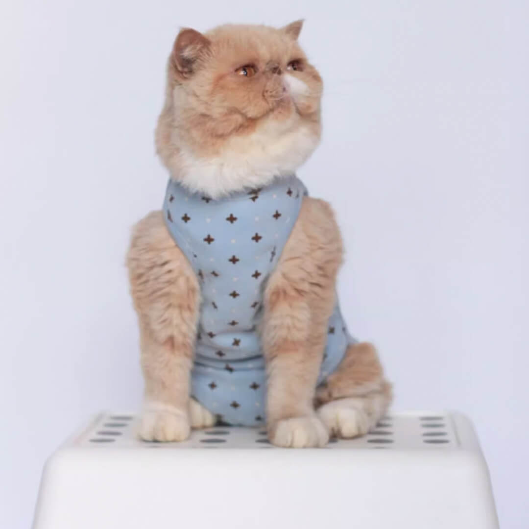 [Special Edition] Nova Cat Dungarees