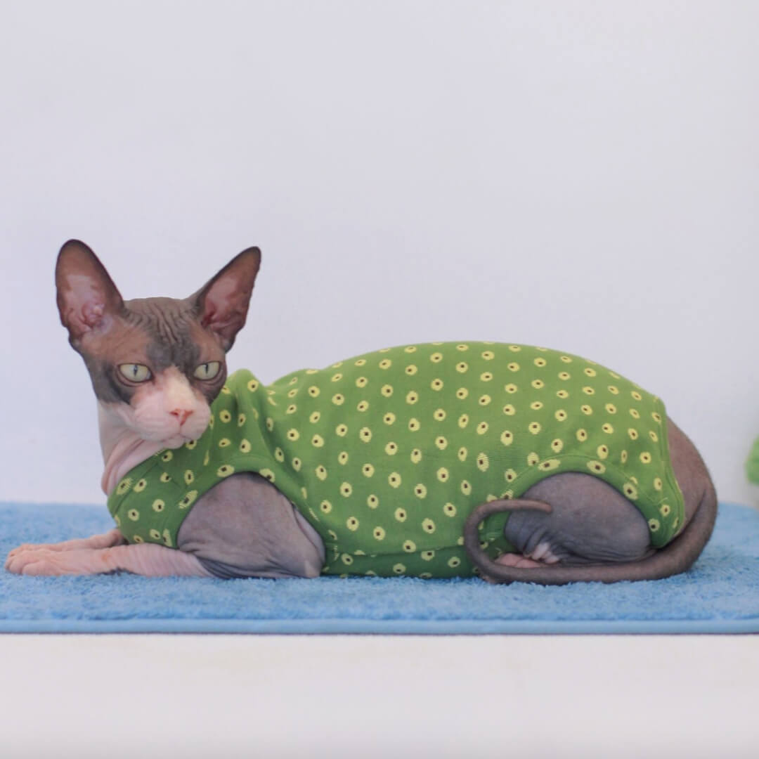 [Special Edition] Nova Cat Dungarees