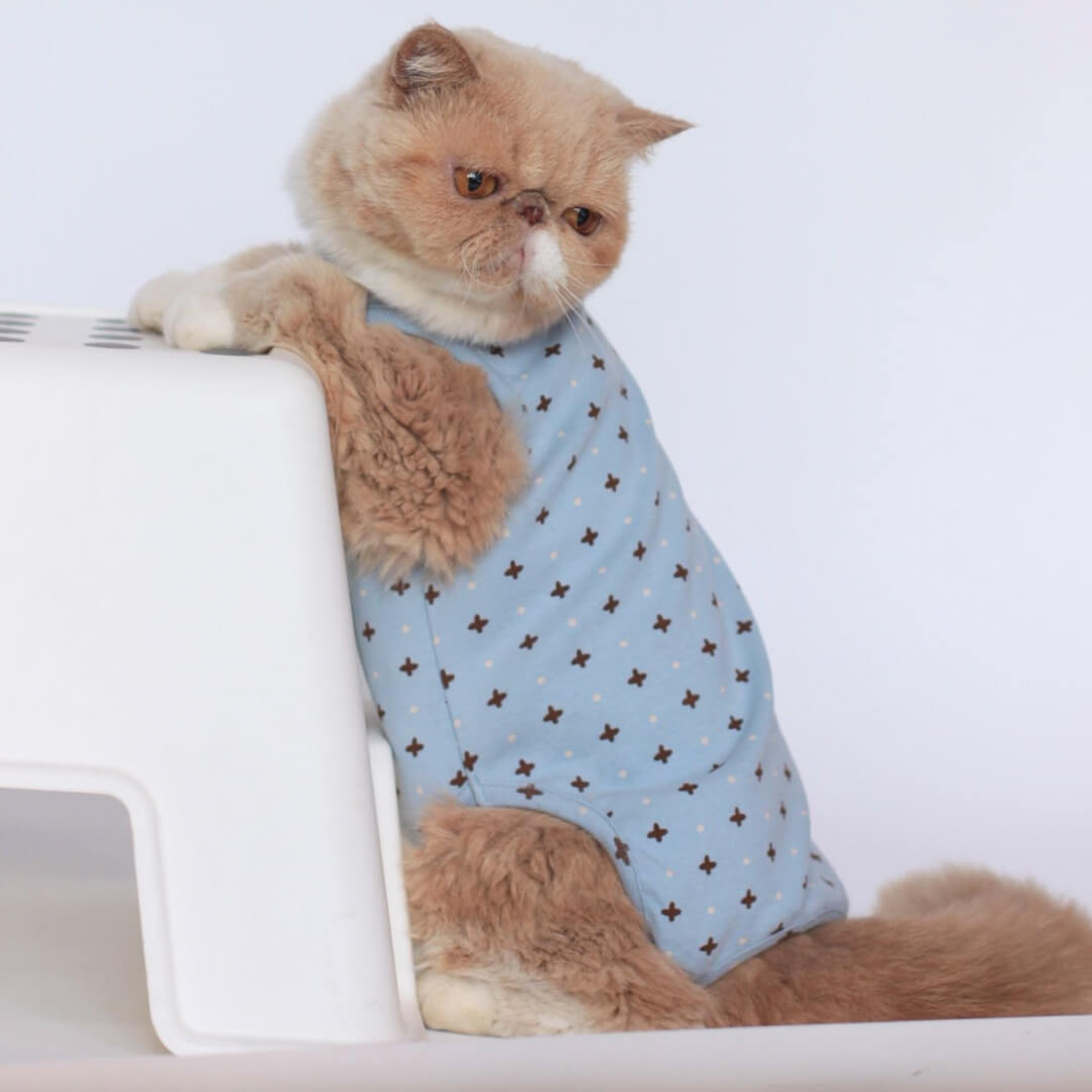 [Special Edition] Nova Cat Dungarees