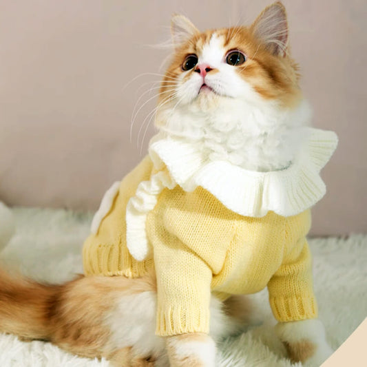 Starry Cat Sweater