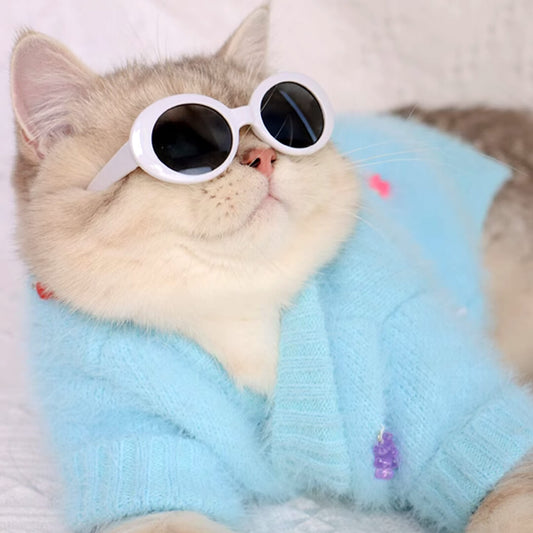 Jelly Bear Cat Cardigan