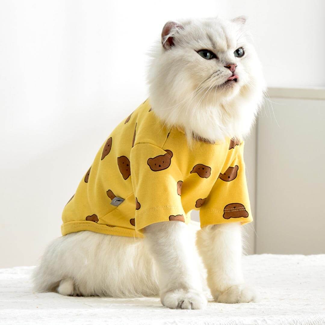 Teddy Cat T-Shirt