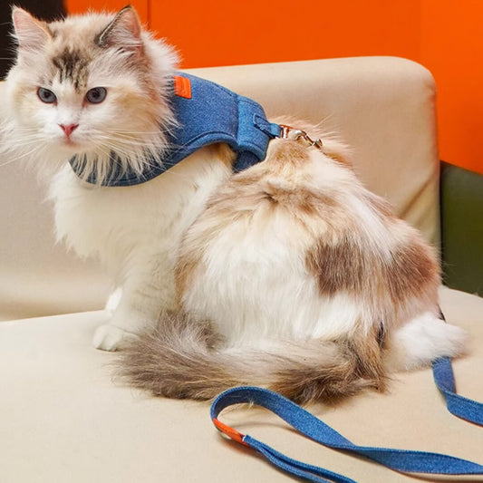TouchCat Indigo Cat Harness & Leash Set