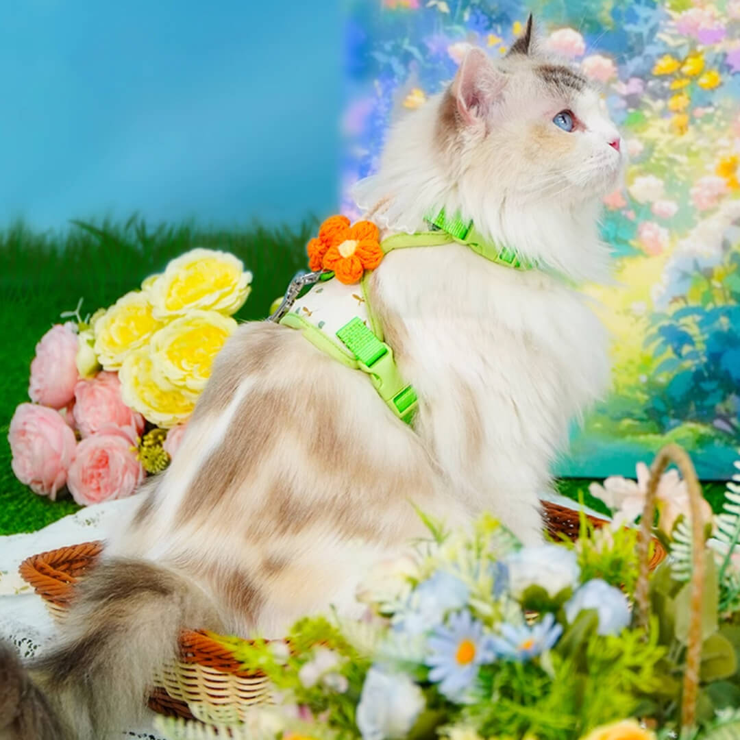 TouchDog Blossom Cat Harness & Leash Set