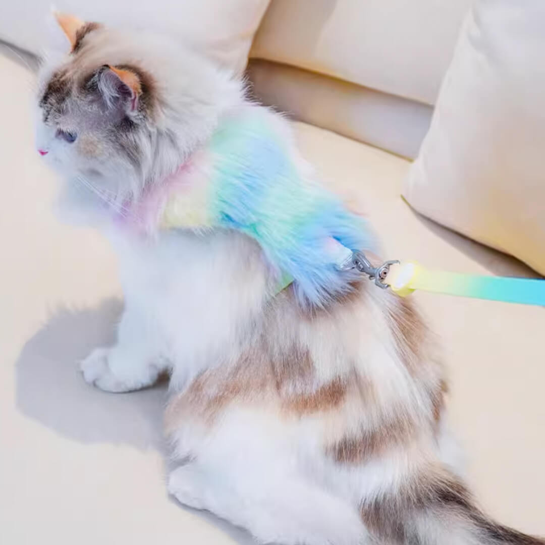 TouchDog Glow Cat Harness & Leash Set