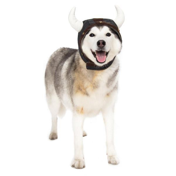 Viking Helmet Dog Hat