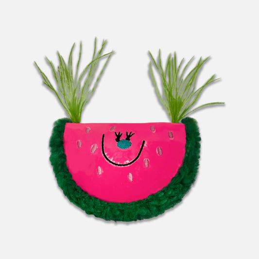 Watermelon Catnip Toy