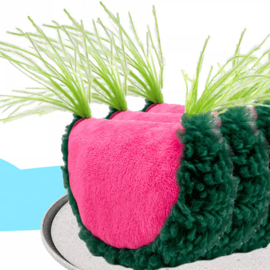 Watermelon Catnip Toy