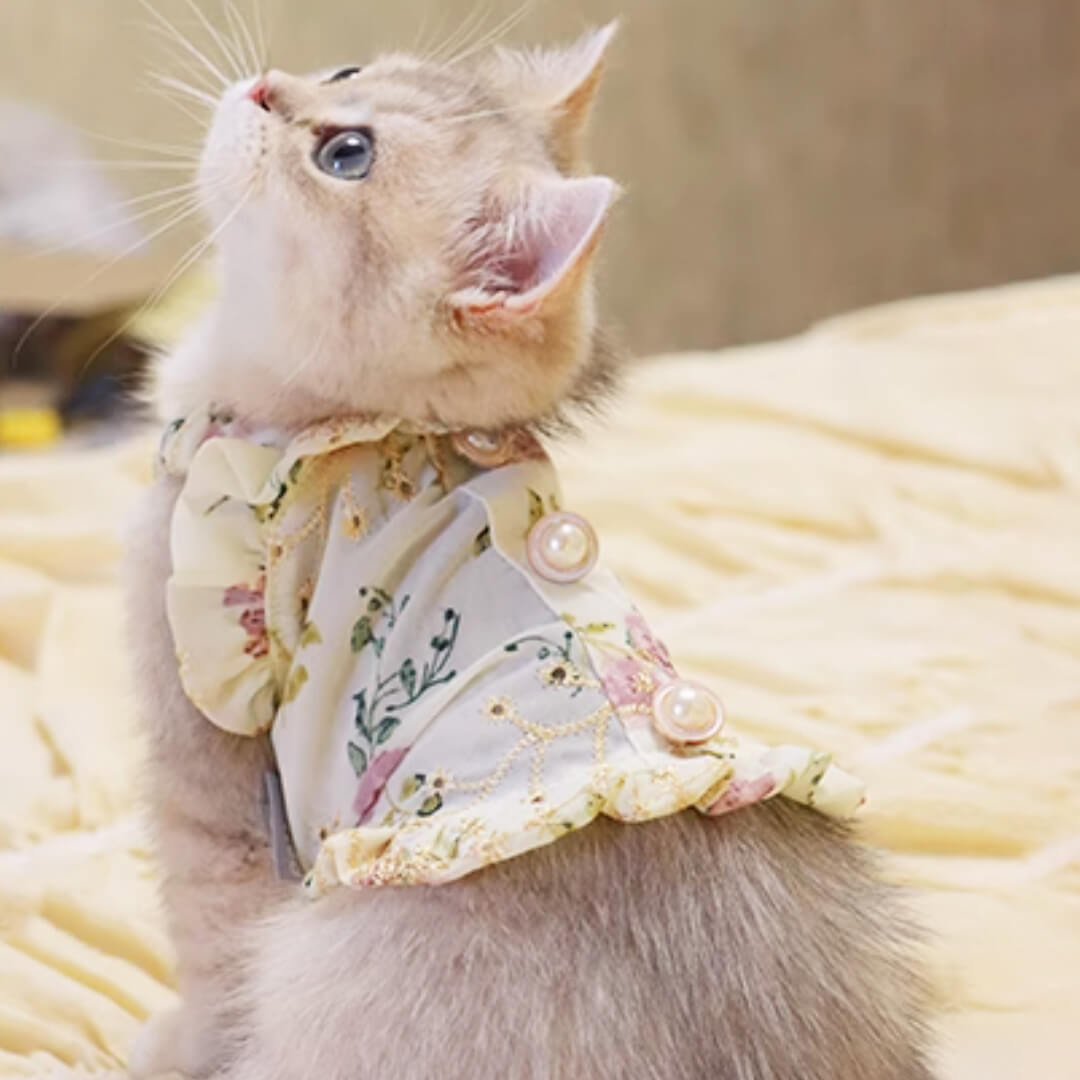 Flora Cat Dress