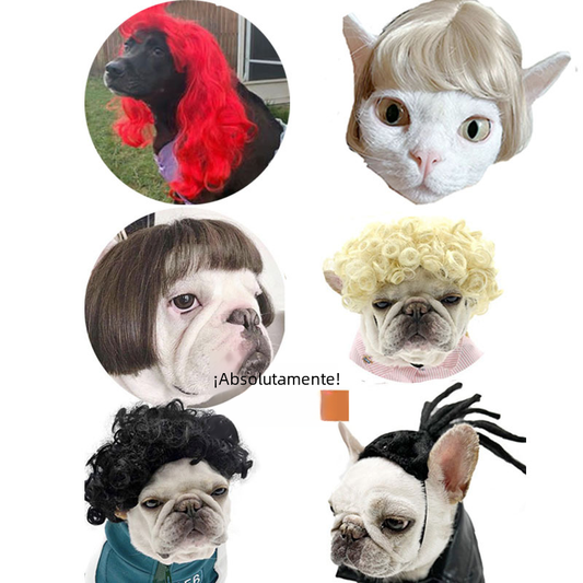 https://static.hzpdex.com/bd375e22-0181-4492-b181-a79e4ef2107d.png