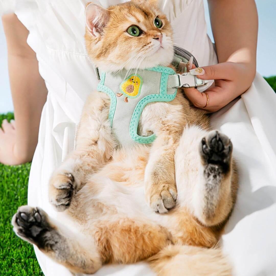 Milo Cat Harness & Leash Set