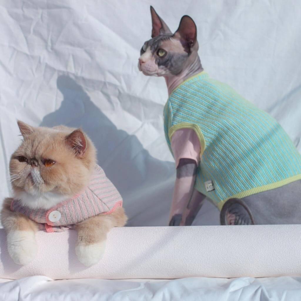 [Special Edition] Catsby Cat Vest