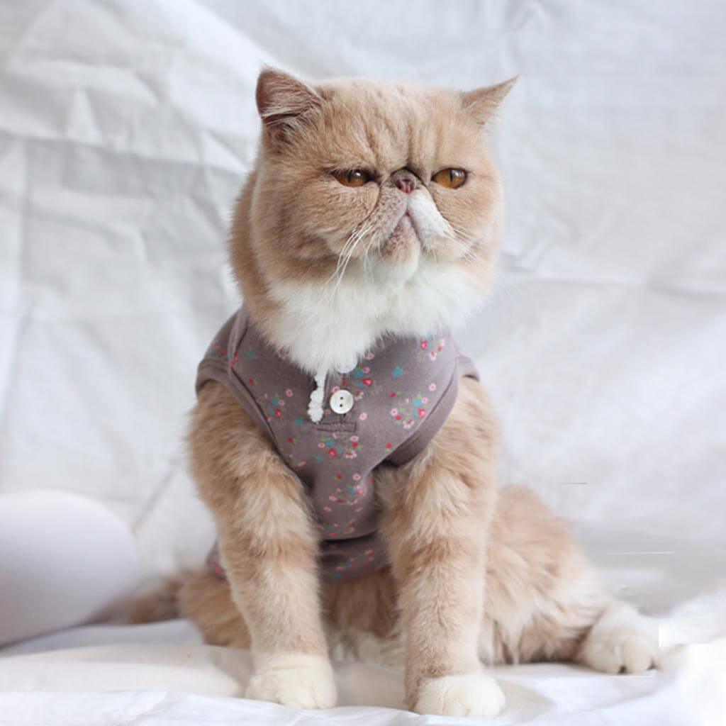 [Special Edition] Daisy Cat Vest