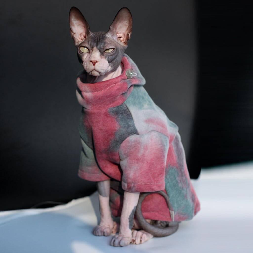 [Special Edition] Hypurr Tie Dye Cat Hoodie I
